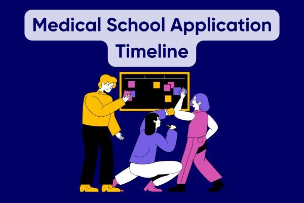 medical school application timeline